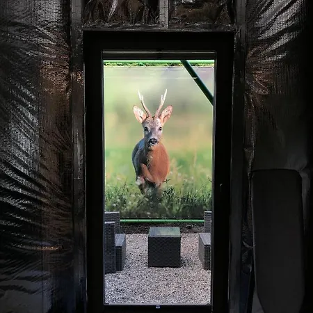 Aparthotel 49 Ostrava