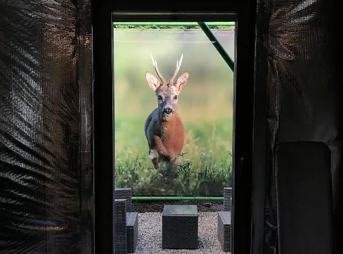 Aparthotel 49 Ostrava